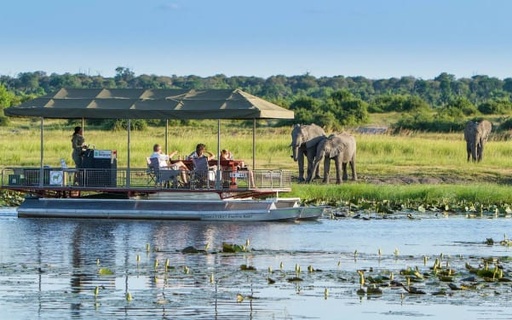 Chobe Day Trip Safari